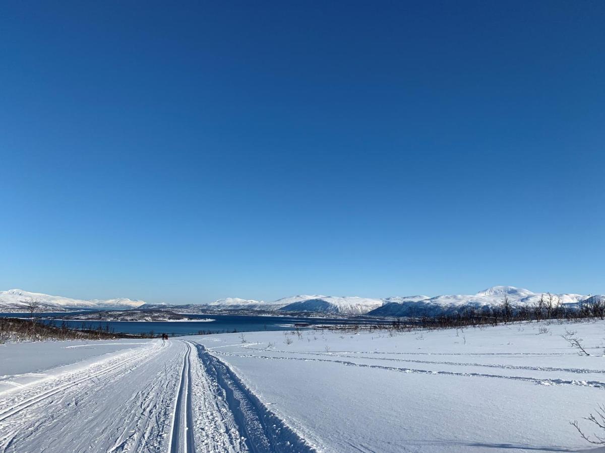 View * Tromso
